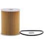 MicroGard Select Oil Filter