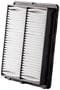 MicroGard Panel Air Filter