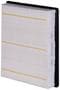 MicroGard Panel Air Filter