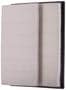 MicroGard Panel Air Filter
