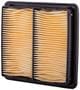 MicroGard Panel Air Filter