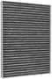 MicroGard Cabin Filter
