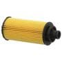 MicroGard Select Oil Filter