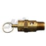 Milton Industries ASME Safety Valve