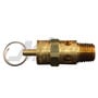 Milton Industries ASME Safety Valve