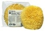 3M Polishing Pad
