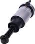 Monroe OE Spectrum Air Suspension Strut