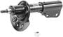 Monroe OE Spectrum Strut