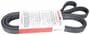 Motorcraft Serpentine Belt 6 Rib 103-13/16 Inch