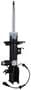 Motorcraft Strut Assembly