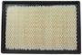 Motorcraft Air Filter