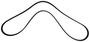 Motorcraft Serpentine Belt