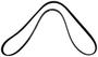 Motorcraft Serpentine Belt