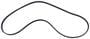 Motorcraft Serpentine Belt