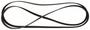 Motorcraft Serpentine Belt