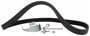 Motorcraft Serpentine Belt Kit