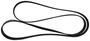 Motorcraft Serpentine Belt