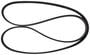 Motorcraft Serpentine Belt