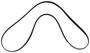 Motorcraft Serpentine Belt