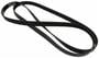Motorcraft Serpentine Belt