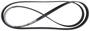 Motorcraft Serpentine Belt 6 Rib 86-9/16 Inch