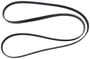 Motorcraft Serpentine Belt