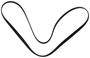 Motorcraft Serpentine Belt