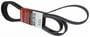 Motorcraft Serpentine Belt 8 Rib 126-1/16 Inch