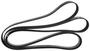 Motorcraft Serpentine Belt 8 Rib 135-5/16 Inch