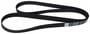 Motorcraft Serpentine Belt