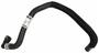 Motorcraft Coolant Hose