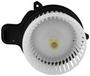 Motorcraft Blower Motor