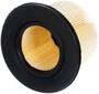 Motorcraft Air Filter