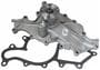 Motorcraft Water Pump Assembly