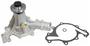 Motorcraft Water Pump Assembly