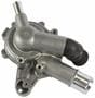 Motorcraft Water Pump Assembly