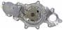 Motorcraft Water Pump Assembly