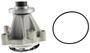 Motorcraft Water Pump
