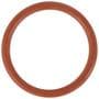 Motorcraft A/C Line O-Ring