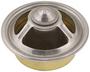 Mr. Gasket Thermostat