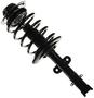 MasterPro Strut And Coil Spring Assembly