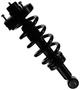 MasterPro Strut And Coil Spring Assembly