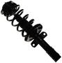 MasterPro Strut And Coil Spring Assembly