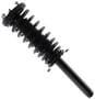 MasterPro Strut And Coil Spring Assembly