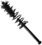 MasterPro Strut And Coil Spring Assembly