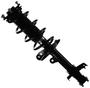 MasterPro Strut And Coil Spring Assembly
