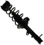 MasterPro Strut And Coil Spring Assembly
