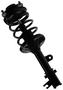 MasterPro Strut And Coil Spring Assembly