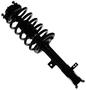 MasterPro Strut And Coil Spring Assembly