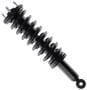 MasterPro Strut And Coil Spring Assembly